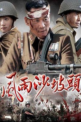 风雨沙坡头第09集
