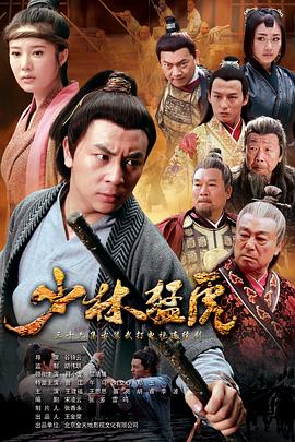 武林猛虎第17集