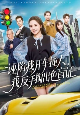 诬陷我开车撞人，我反手掏出色盲证第01集