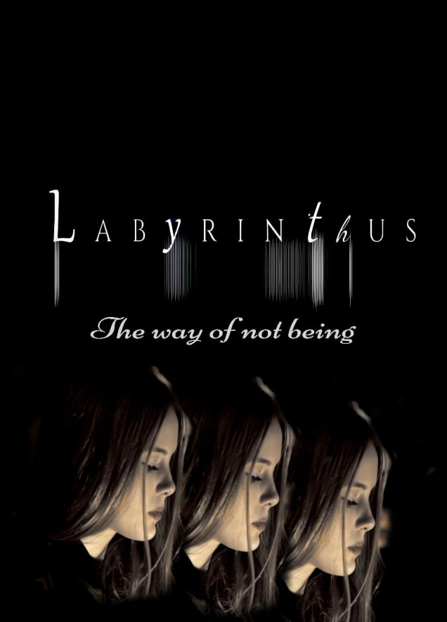 迷宫:不存在的方式